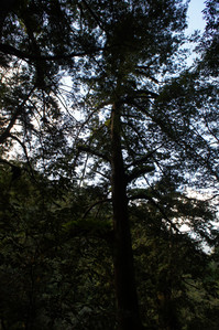 DSC00595.JPG