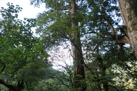 DSC00598.JPG
