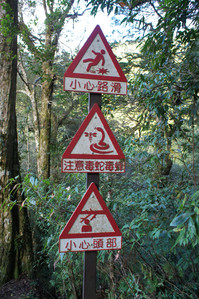 DSC00600.JPG