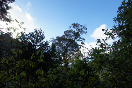 DSC00601.JPG