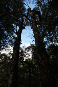 DSC00602.JPG