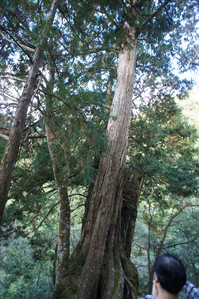 DSC00610.JPG