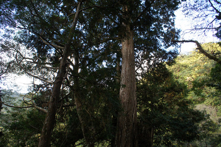 DSC00612.JPG