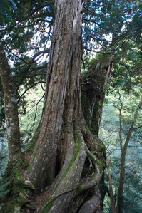 DSC00614.JPG