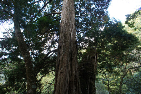 DSC00615.JPG