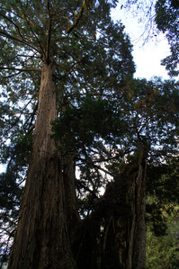 DSC00616.JPG