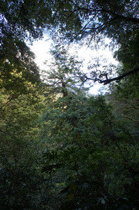 DSC00618.JPG