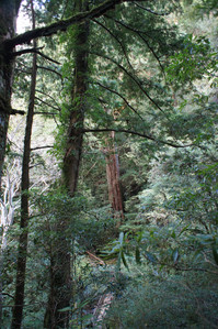 DSC00621.JPG