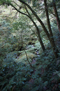 DSC00622.JPG