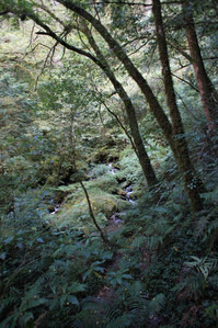 DSC00623.JPG