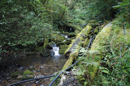 DSC00626.JPG