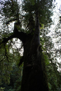 DSC00634.JPG