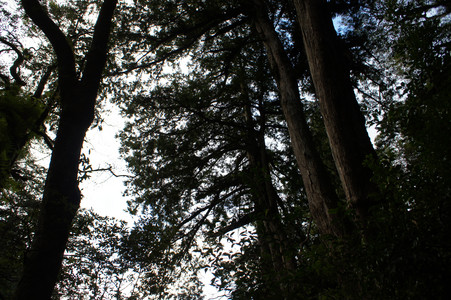 DSC00637.JPG