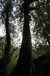 DSC00640.JPG