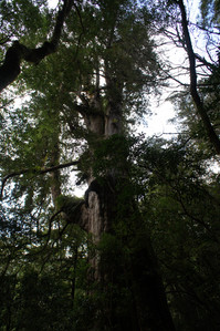 DSC00651.JPG