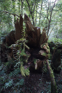 DSC00658.JPG