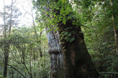 DSC00660.JPG