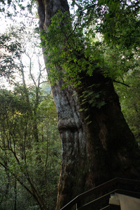 DSC00661.JPG