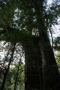 DSC00665.JPG
