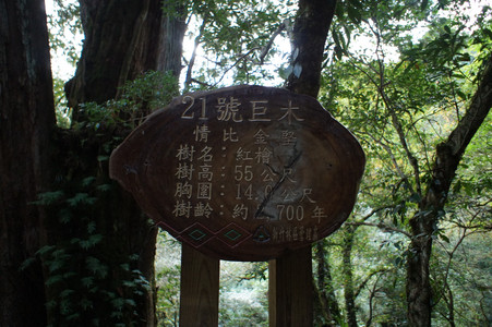 DSC00666.JPG