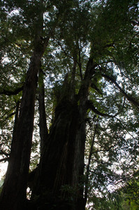 DSC00669.JPG
