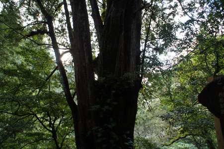 DSC00671.JPG