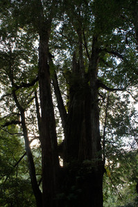 DSC00672.JPG