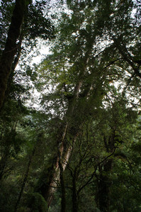 DSC00674.JPG