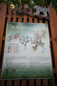 DSC00677.JPG