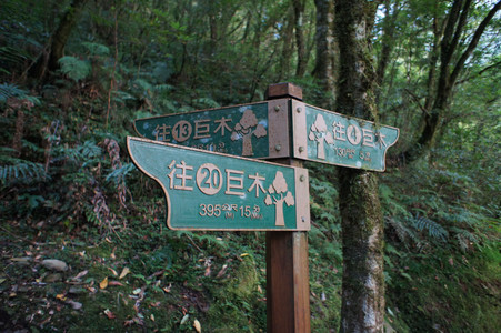 DSC00684.JPG