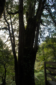 DSC00685.JPG