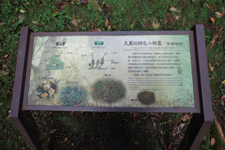DSC00688.JPG