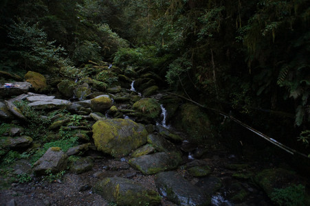 DSC00698.JPG
