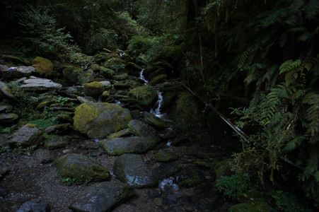 DSC00700.JPG