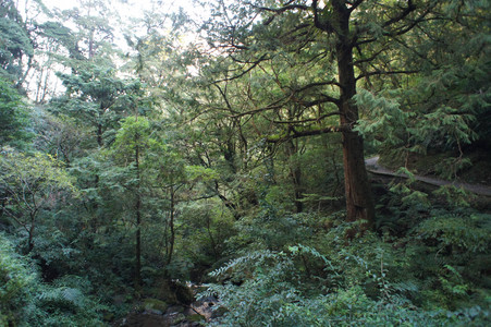 DSC00702.JPG