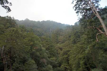 DSC00716.JPG