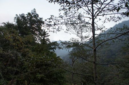 DSC00718.JPG
