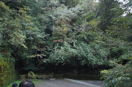 DSC00724.JPG