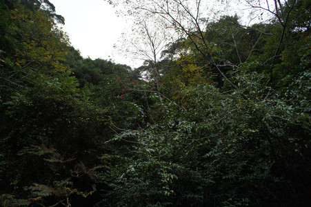 DSC00725.JPG