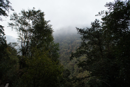 DSC00728.JPG