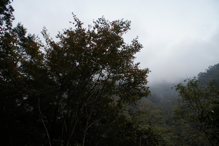 DSC00729.JPG