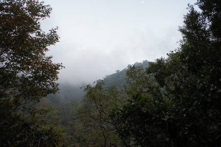 DSC00730.JPG
