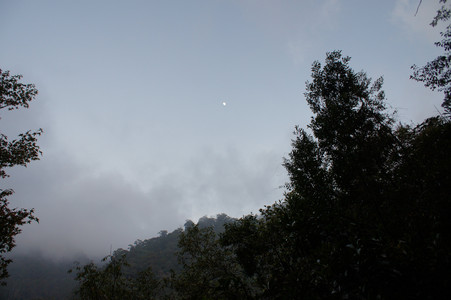 DSC00731.JPG