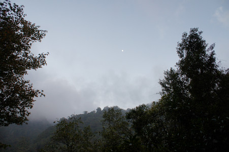 DSC00732.JPG