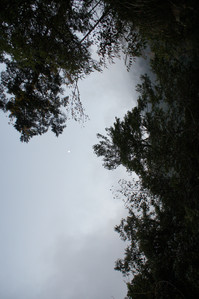 DSC00733.JPG