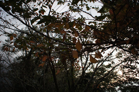 DSC00738.JPG