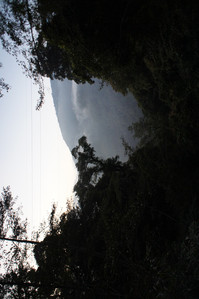 DSC00742.JPG