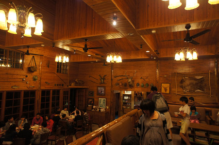 DSC00804.JPG