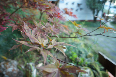 DSC00835.JPG