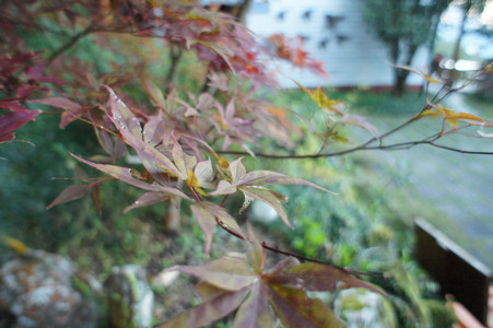 DSC00836.JPG